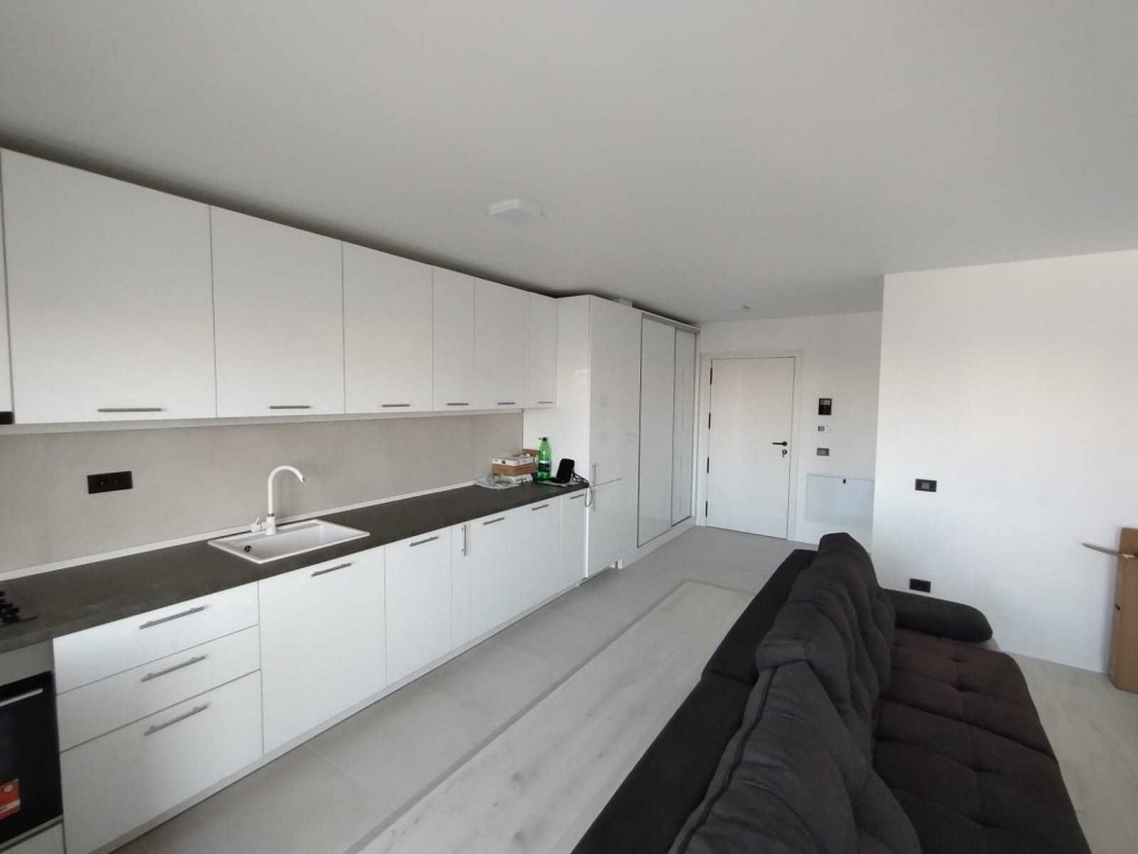 Piata sudului sun royal emil racovita