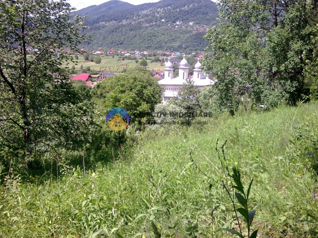 Teren de vânzare – Alexandru cel Bun, județul Neamț