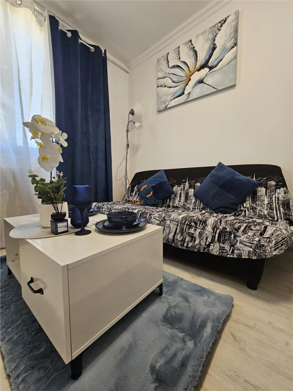 Garsoniera Lux zona centrala Take Ionescu