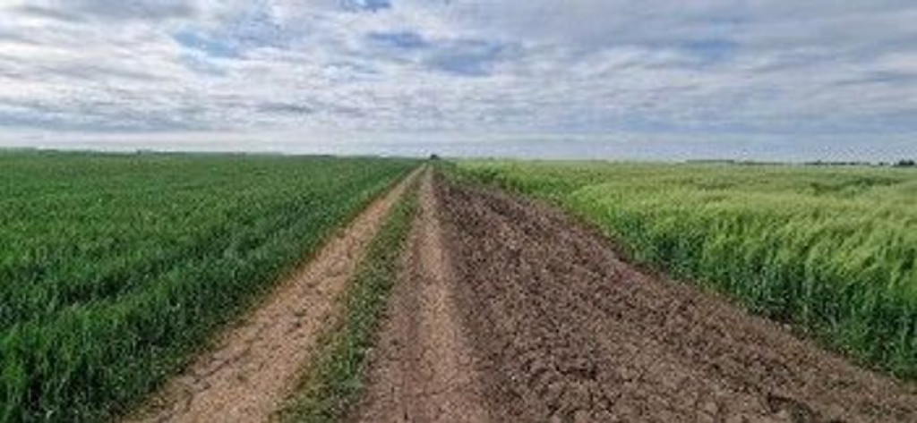 Teren Extravilan Ghimpati cota parte 1/4, ID: R2689034