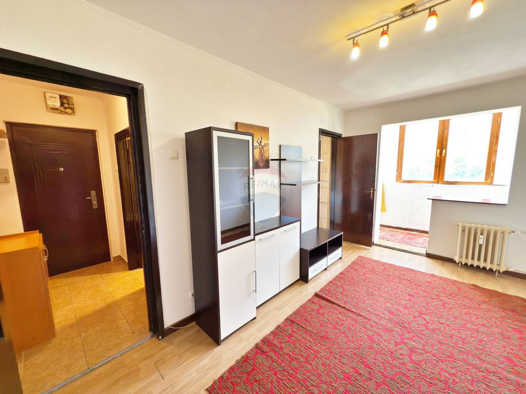 Apartament cu 1 cameră de vânzare pe Aleea Predeal / Arad