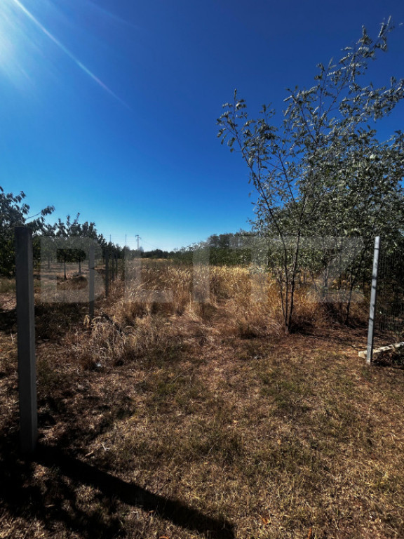 Teren intravilan, 1358 mp – cartierul Primăverii