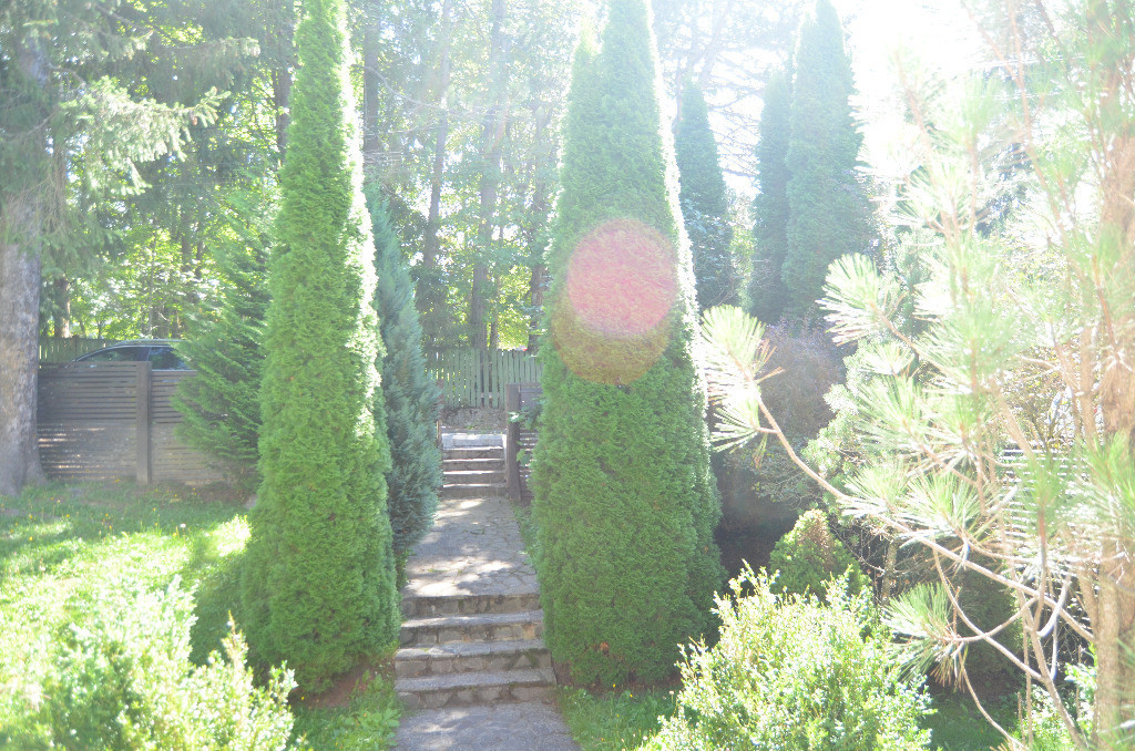 Vila de vacanta situata in Predeal-Cioplea