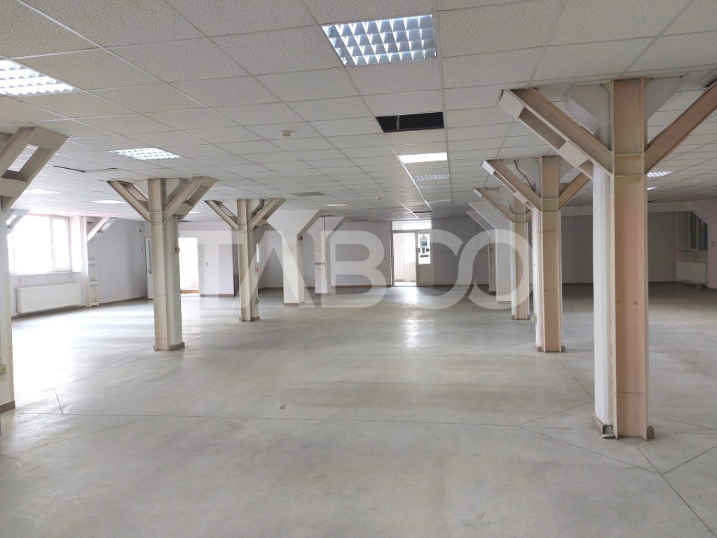 Spatiu industrial 320 mp depozite si birouri acces TIR Viile