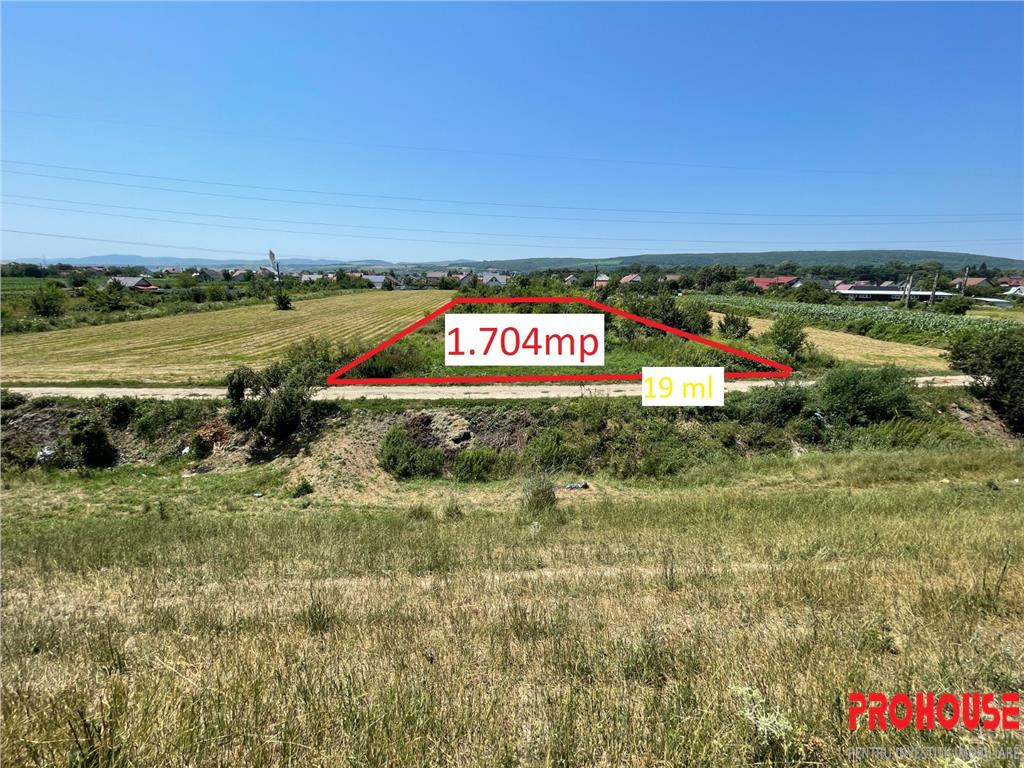 Hemeiusi - zona Parcului Dendrologic - 1.704mp