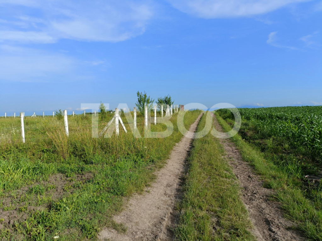 Teren 5000 mp in apropiere de case in Sura Mica - pretabil i