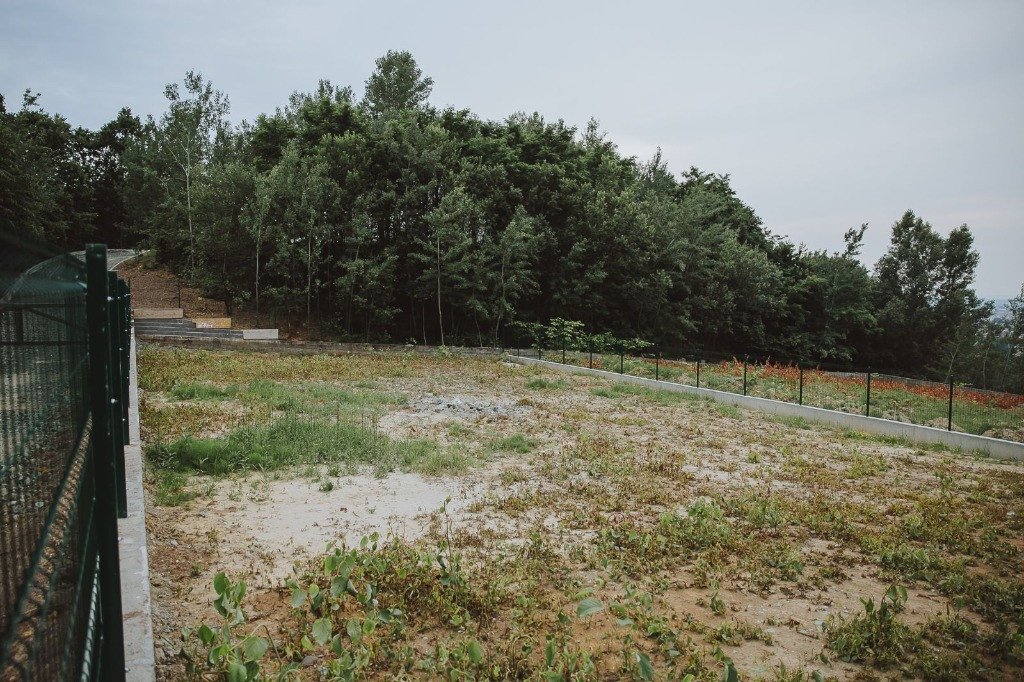 Zona Grivitei, 8 ari teren