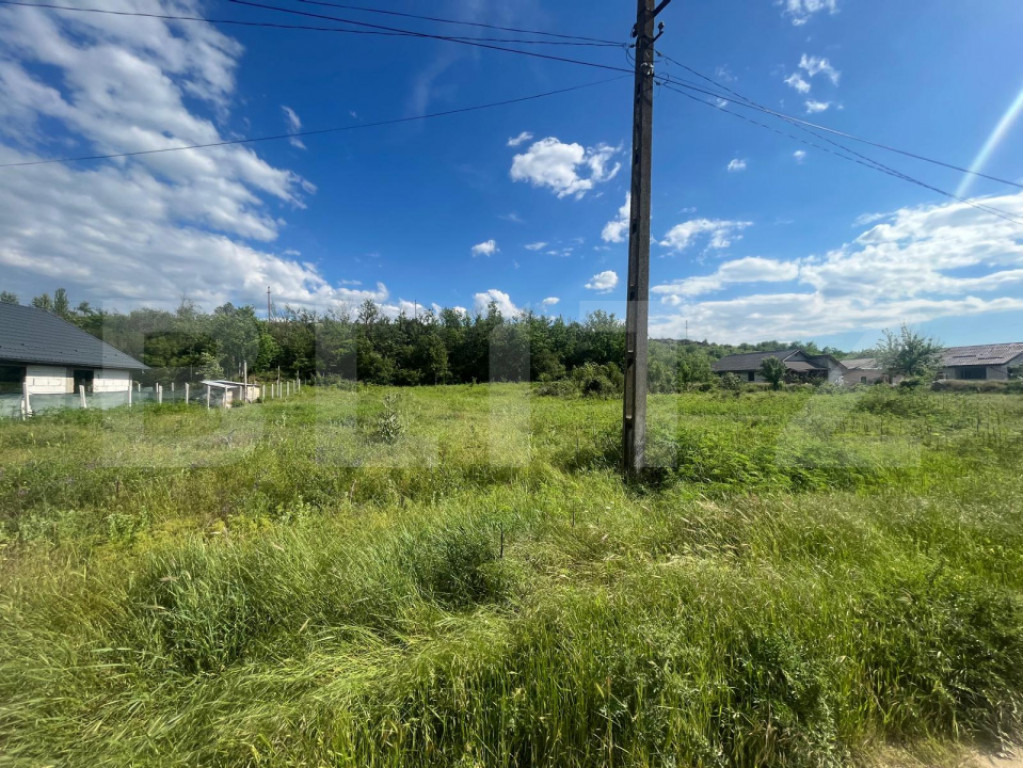 Teren intravilan Leamna de sus, 2500 mp, deschidere 40 ml