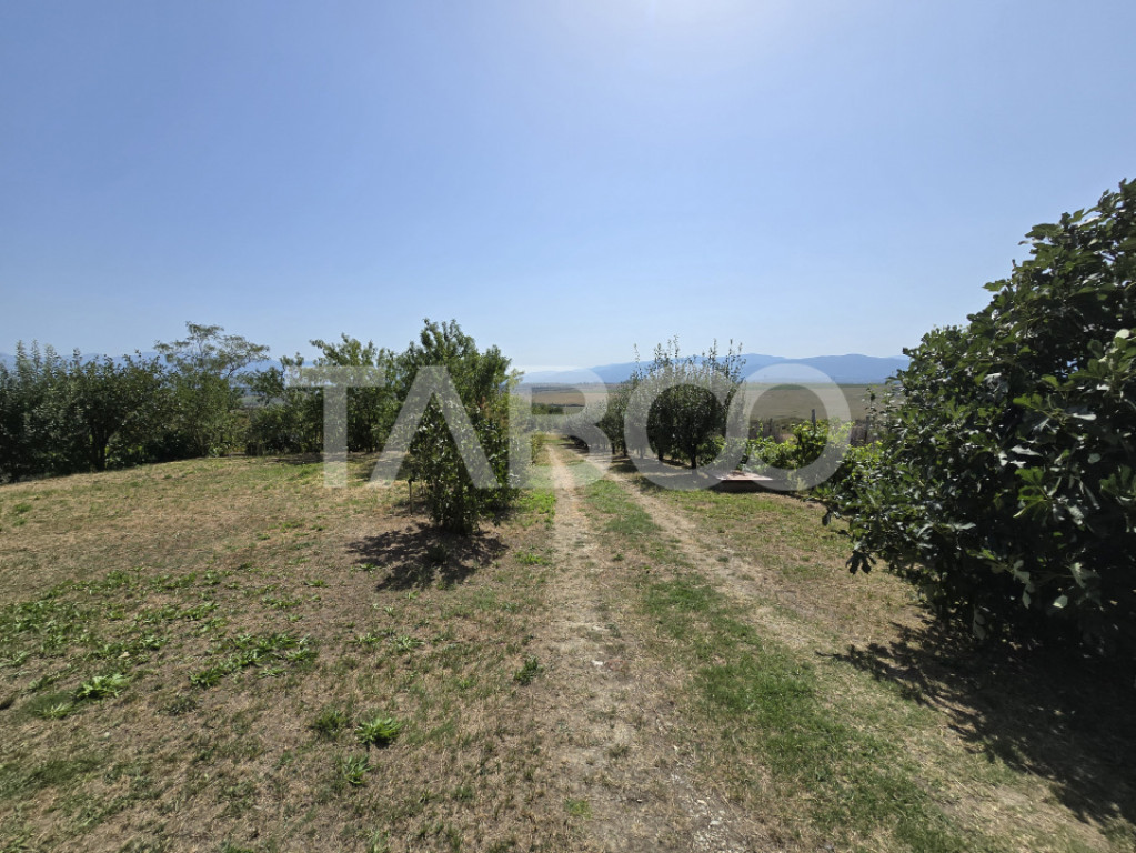 Casa singur in curte cu teren liber 2667 mp 6 camere 4 bai D