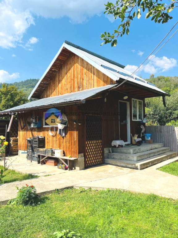 CASA + HALĂ comuna ALEXANDRU cel BUN