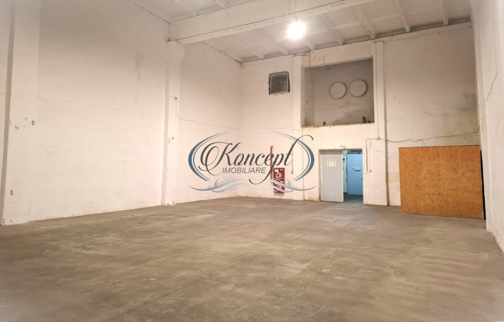 Depozit industrial pe Calea Baciului