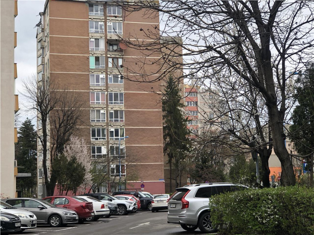 OFERTA 3 Camere decomandat la etaj 2, Grivitei