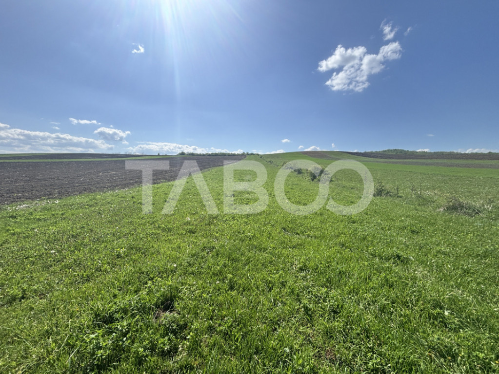 Teren de vanzare extravilan 6500 mp in Hamba judetul Sibiu