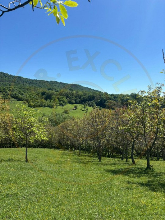 Terenuri 12.225 mp - Ramnicu Valcea, Aranghel