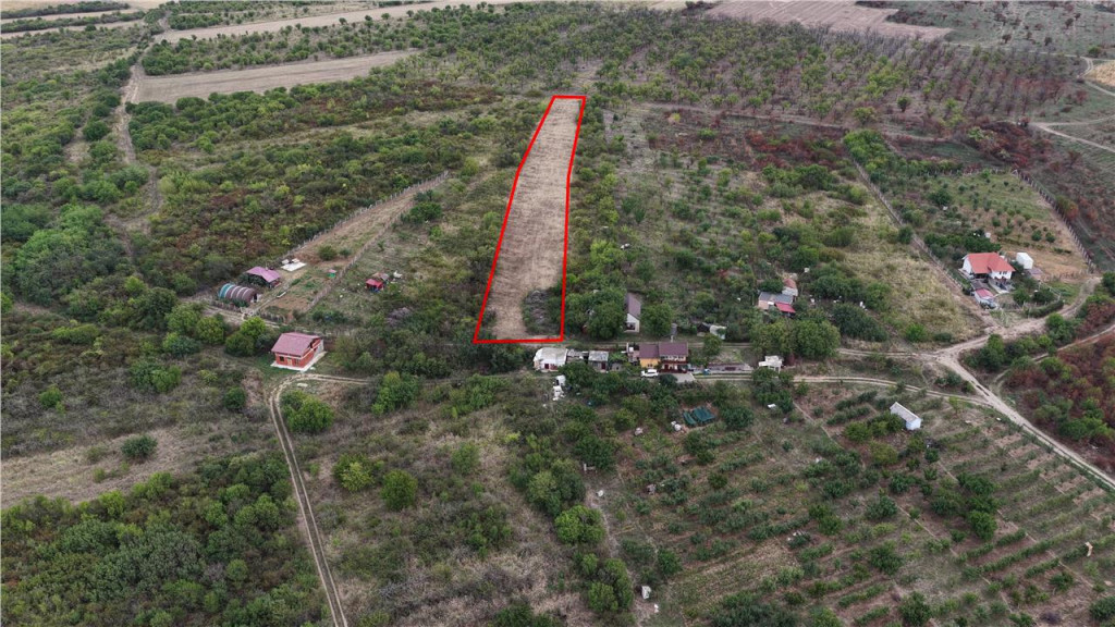 RECO Teren Episcopia