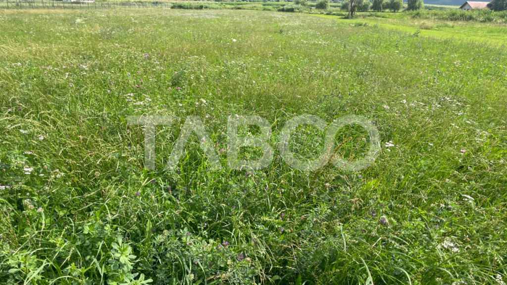 Teren intravilan 3450 mp Boita, 35 m deschidere, la 700 m de