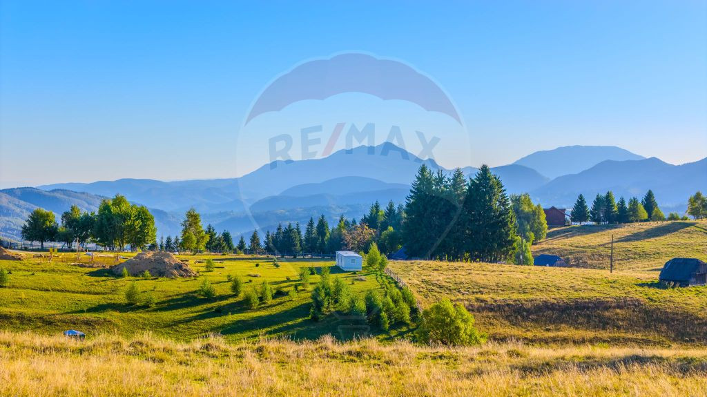 COMISION 0% Teren 19.300 mp/Șirnea/ Oportunitate de inve...