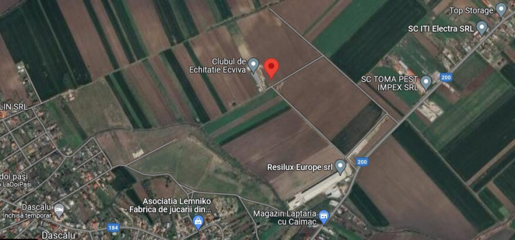 Teren extravilan Dascalu, 10000 mp