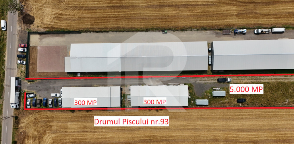 CIOLPANI Lot 5.000 MP