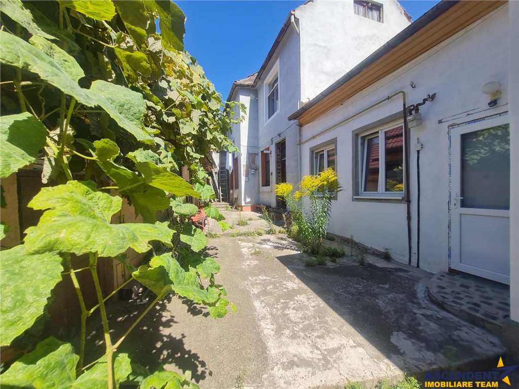 Camin cochet, chiar in inima orasului, etaj 1, perfect pentr