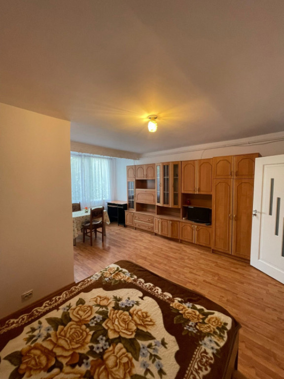 Garsoniera de vanzare, etajul 1, 28mp, zona Luminisului