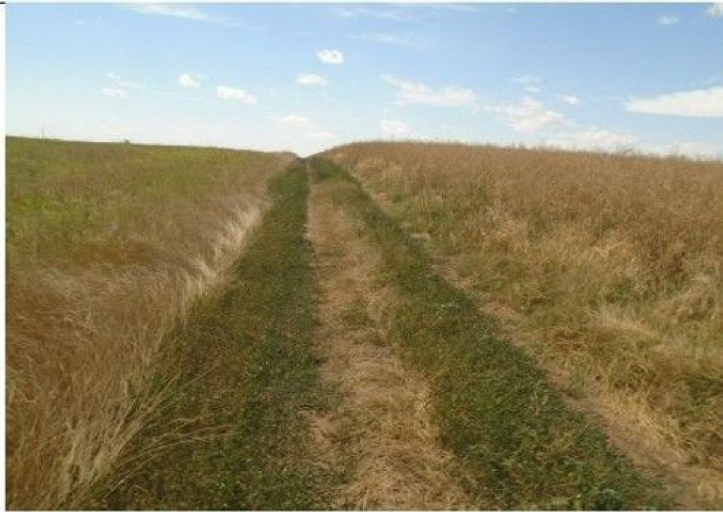 Teren Trifesti, ID: R2694743