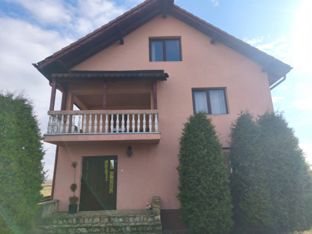 Oportunitate!! Casa individuala, afacere la cheie, Satu Mare