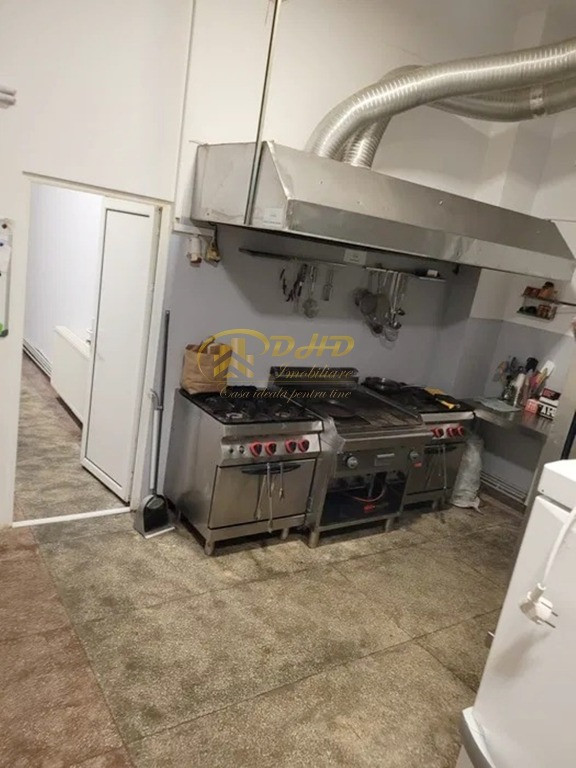 Spatiu comercial Tudor