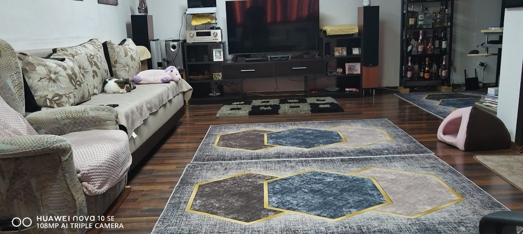 Busteni-garsoniera cf 1