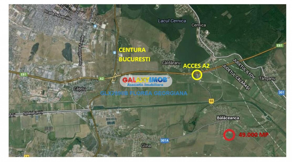 Teren 49.000 mp Balaceanca - Cernica