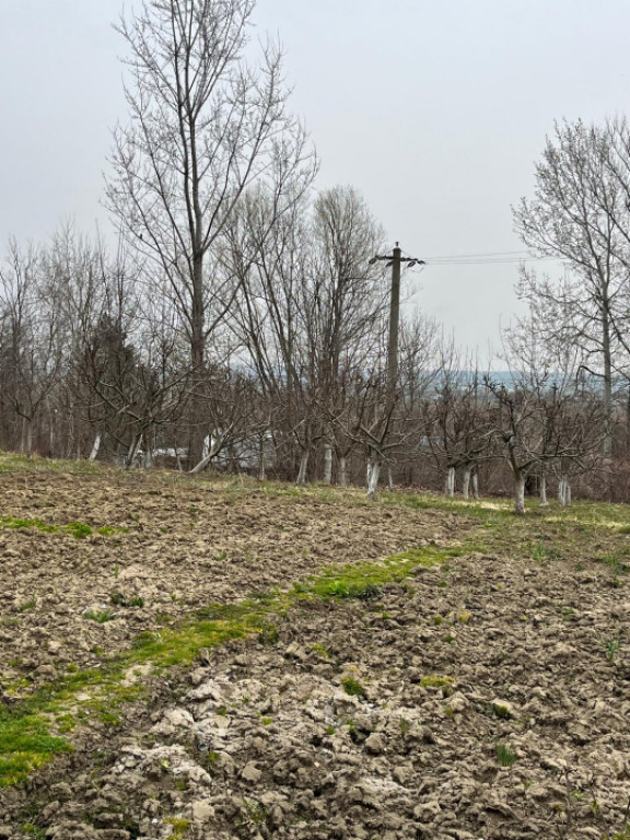 Teren intravilan, 4200 mp, SIRET