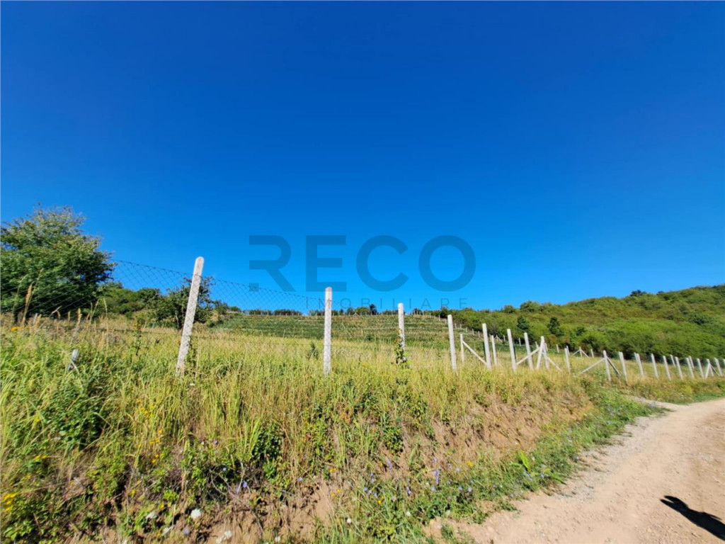 RECO teren intravilan Podgoria