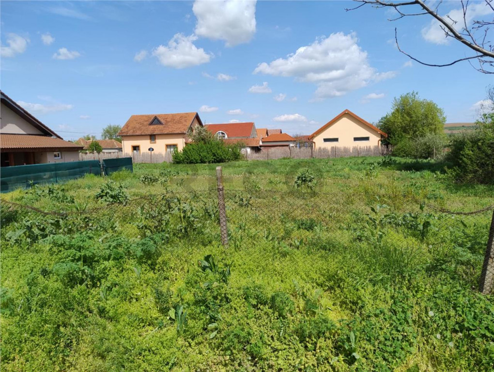 RECO Teren intravilan, Biharea