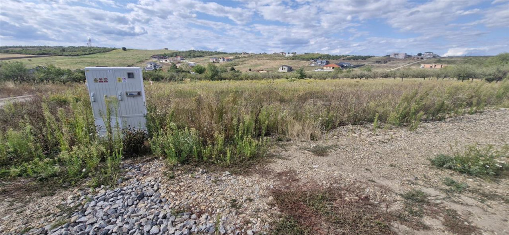 RECO Teren intravilan in Saldabagiu de Munte