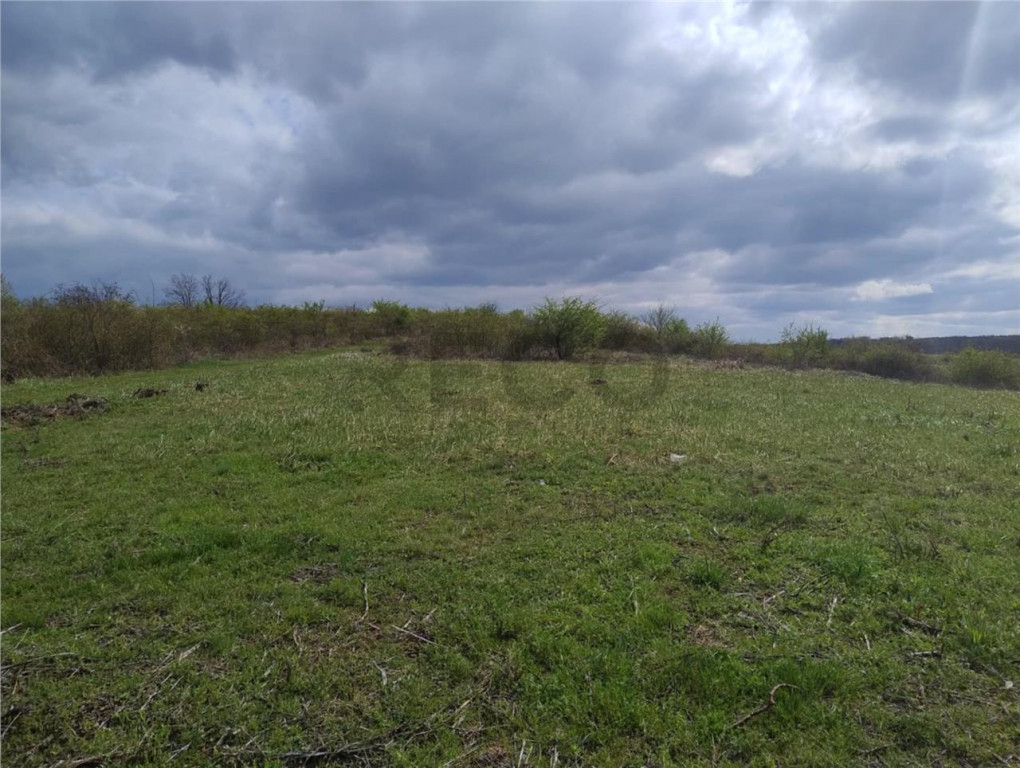 RECO Teren intravilan, Paleu