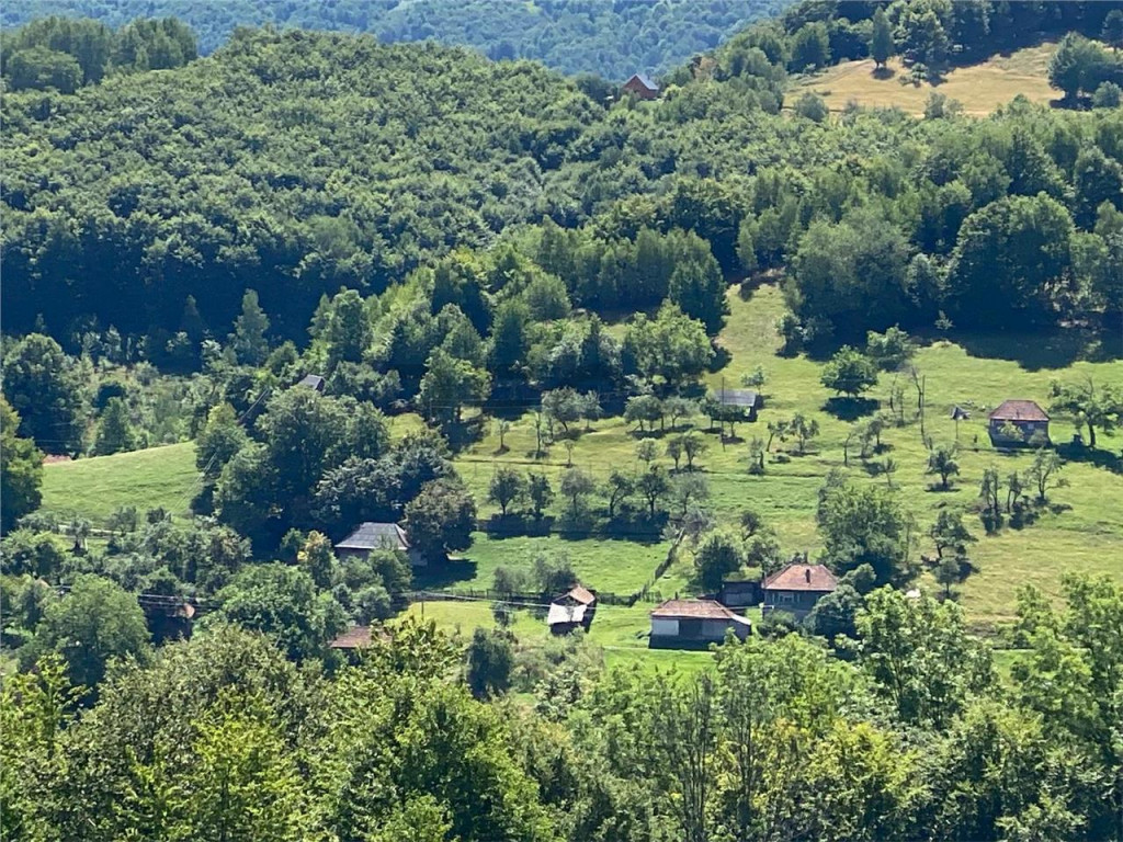 RECO Casa cu teren in Damis zona Valea Bratcutei
