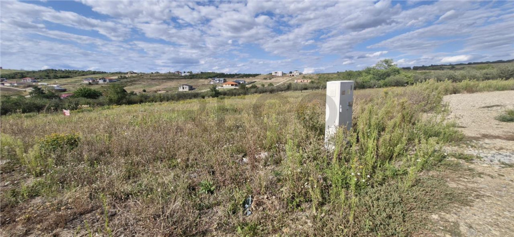 RECO Teren intravilan in Saldabagiu de Munte