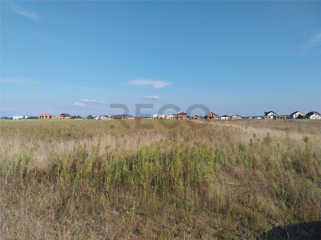 RECO Teren Cihei 504mp