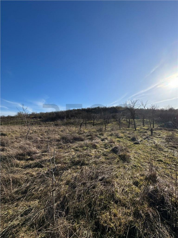 RECO Teren intravilan 2460 mp Santelec