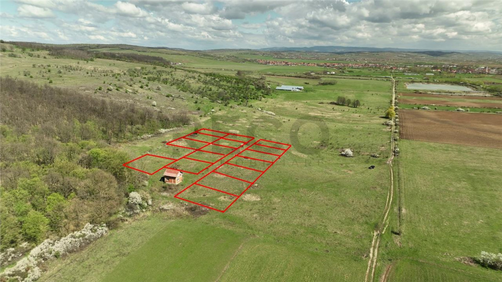 RECO , teren intravilan, Ineu,Bihor