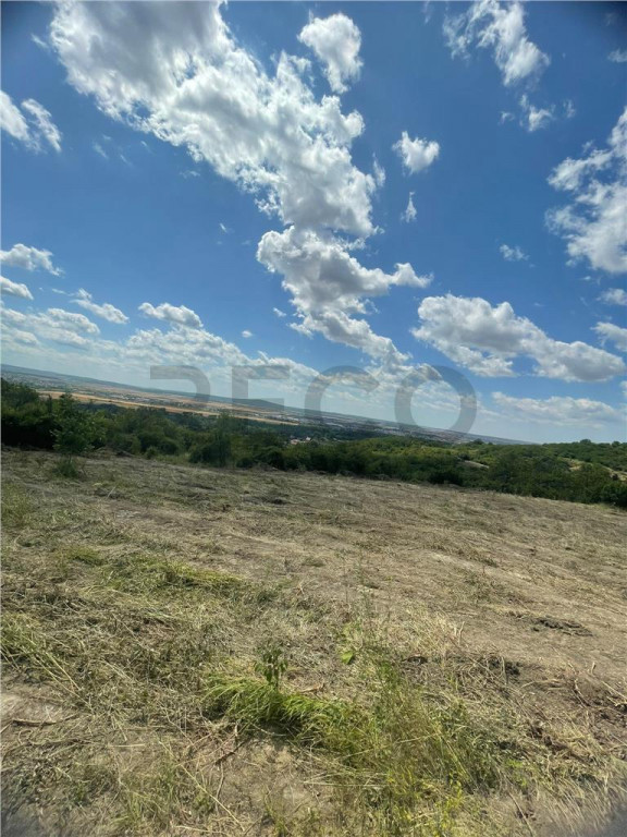 RECO Teren Extravilan Podgoria Oradea