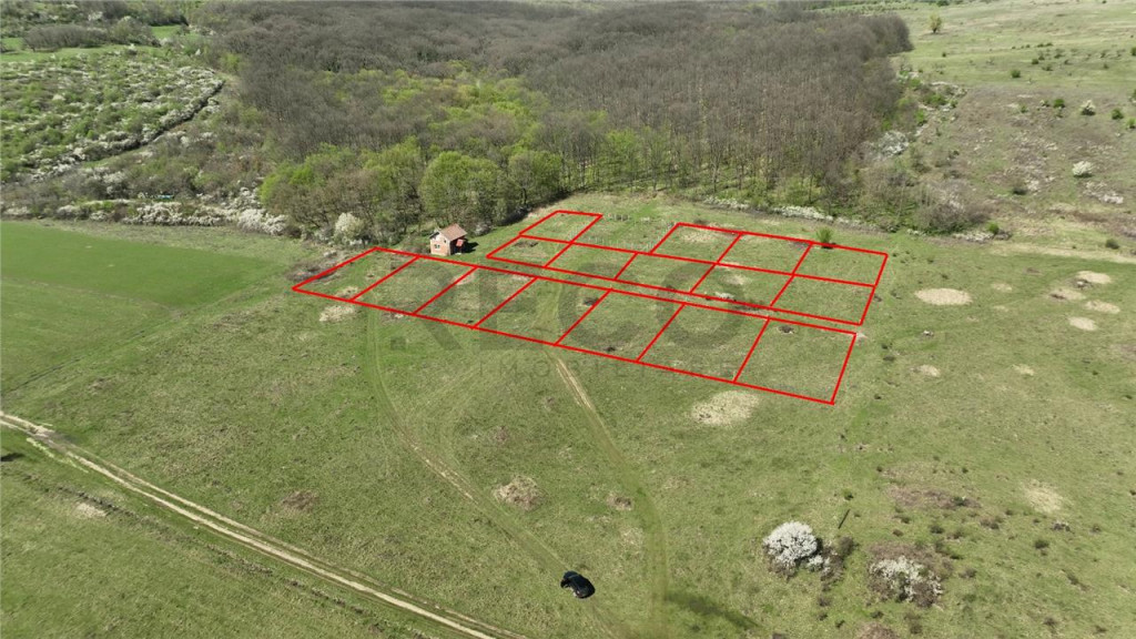 RECO, teren intravilan, Ineu,Bihor