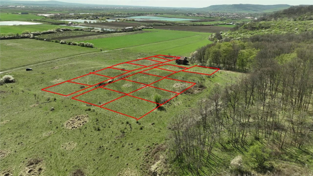 RECO, teren intravilan, Ineu,Bihor