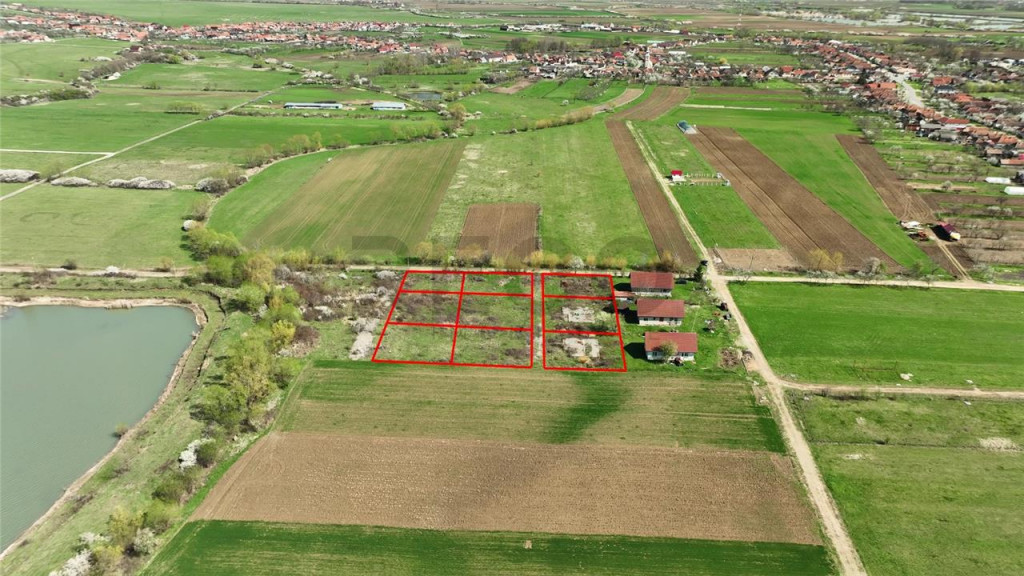 RECO , teren intravilan, Ineu,Bihor