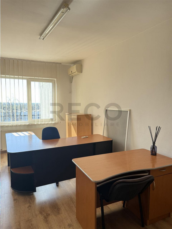 RECO, Spatiu Birou tip douplex, Borsului