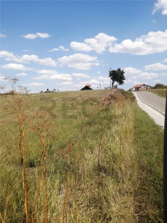 RECO, Teren in Pausa, Nojorid