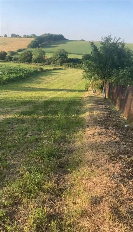 Reco Teren 5800 mp in Ghenetea | Strada asfaltata recent