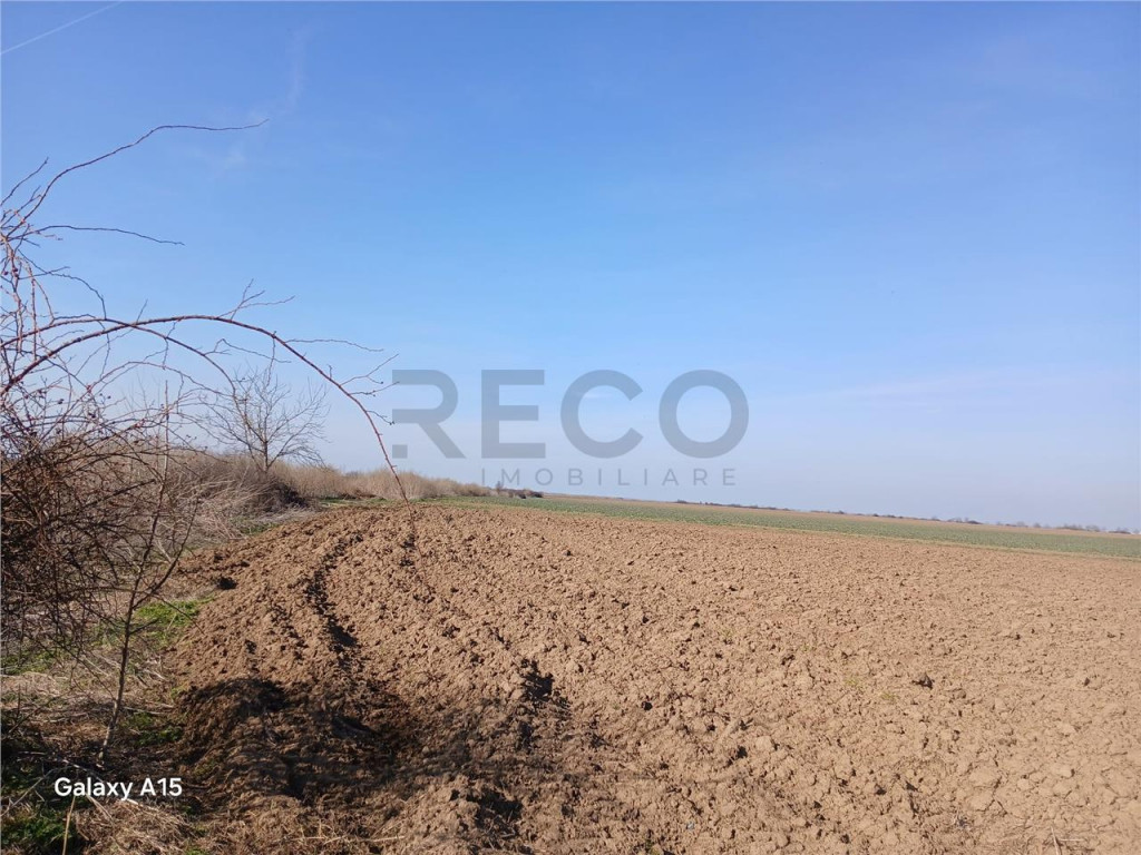 RECO Teren intravilan aproape de zona industriala Biharia