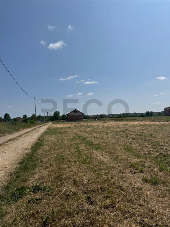 RECO teren în Paleu