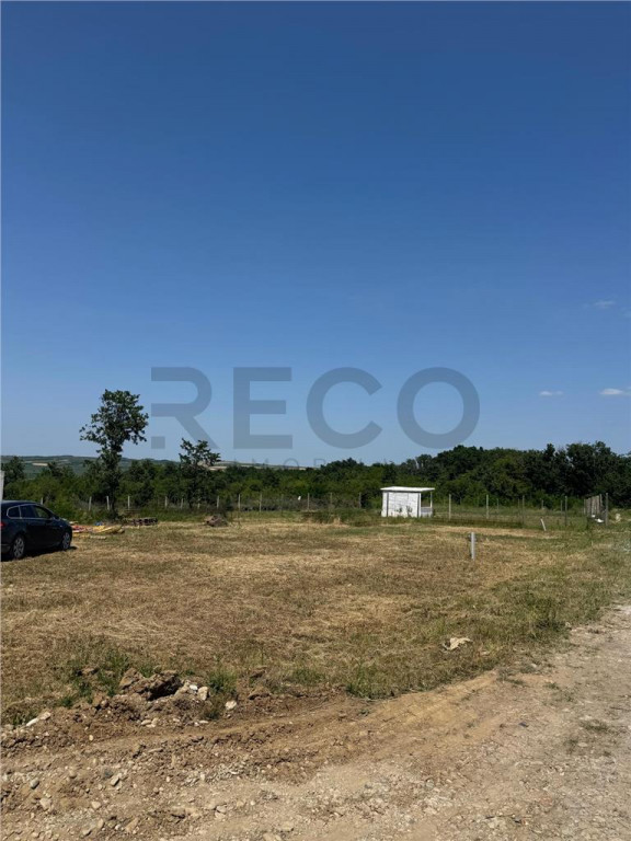 RECO teren în zona Paleu